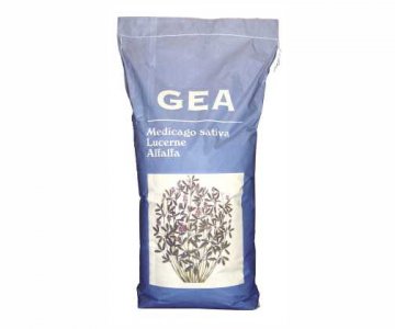 Yonca toxumu Gea Dor 7 / Continental