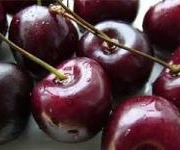 Gilas tingi Öküz ürəyi